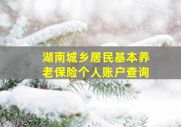 湖南城乡居民基本养老保险个人账户查询