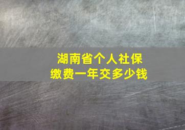 湖南省个人社保缴费一年交多少钱