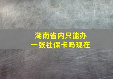 湖南省内只能办一张社保卡吗现在