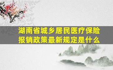 湖南省城乡居民医疗保险报销政策最新规定是什么