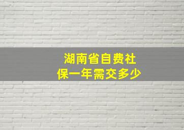 湖南省自费社保一年需交多少