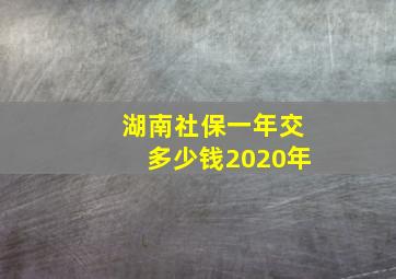 湖南社保一年交多少钱2020年