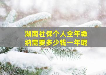 湖南社保个人全年缴纳需要多少钱一年呢