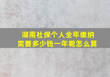 湖南社保个人全年缴纳需要多少钱一年呢怎么算