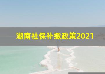 湖南社保补缴政策2021