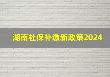 湖南社保补缴新政策2024