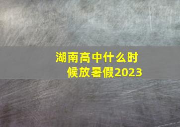 湖南高中什么时候放暑假2023