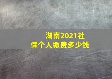 湖南2021社保个人缴费多少钱