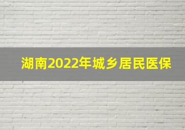 湖南2022年城乡居民医保