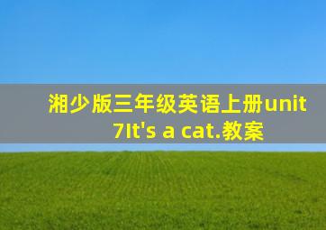 湘少版三年级英语上册unit7It's a cat.教案