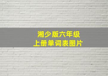 湘少版六年级上册单词表图片