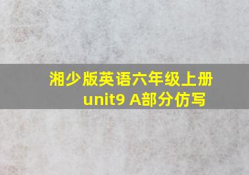 湘少版英语六年级上册unit9 A部分仿写