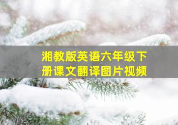 湘教版英语六年级下册课文翻译图片视频