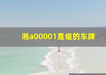 湘a00001是谁的车牌