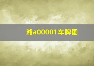 湘a00001车牌图