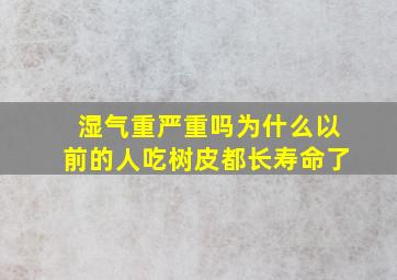 湿气重严重吗为什么以前的人吃树皮都长寿命了