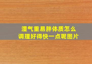 湿气重易胖体质怎么调理好得快一点呢图片