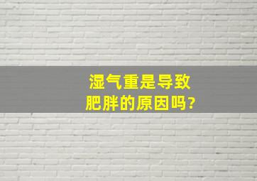 湿气重是导致肥胖的原因吗?