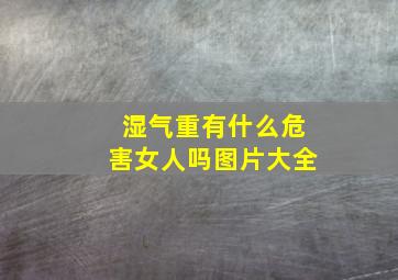 湿气重有什么危害女人吗图片大全