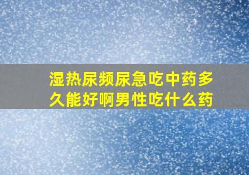 湿热尿频尿急吃中药多久能好啊男性吃什么药