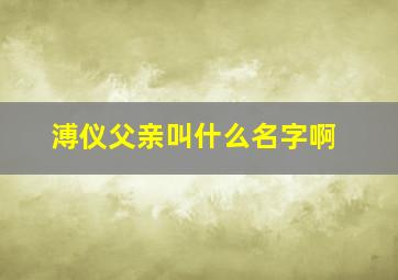 溥仪父亲叫什么名字啊