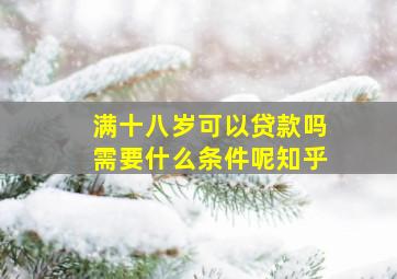 满十八岁可以贷款吗需要什么条件呢知乎