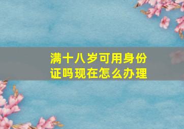 满十八岁可用身份证吗现在怎么办理