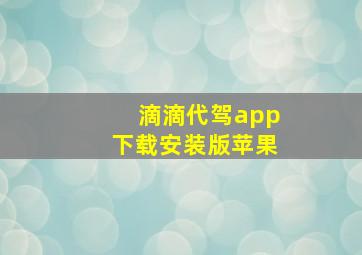 滴滴代驾app下载安装版苹果