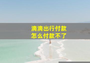 滴滴出行付款怎么付款不了