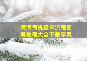 滴滴司机接单流程图解教程大全下载苹果