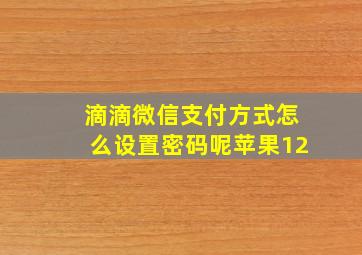 滴滴微信支付方式怎么设置密码呢苹果12