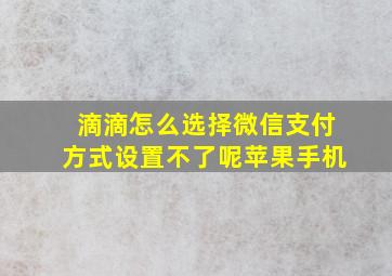 滴滴怎么选择微信支付方式设置不了呢苹果手机