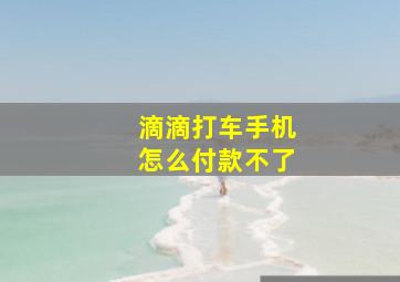 滴滴打车手机怎么付款不了