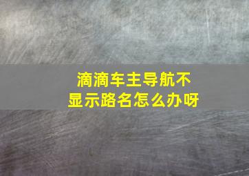 滴滴车主导航不显示路名怎么办呀