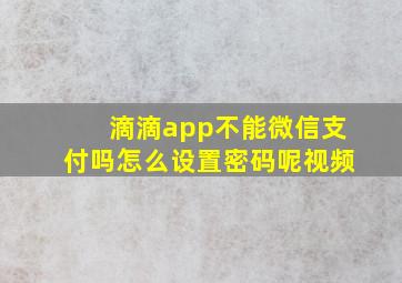 滴滴app不能微信支付吗怎么设置密码呢视频