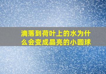 滴落到荷叶上的水为什么会变成晶亮的小圆球