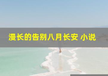 漫长的告别八月长安 小说