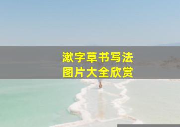 漱字草书写法图片大全欣赏