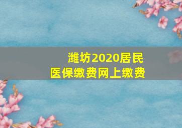 潍坊2020居民医保缴费网上缴费