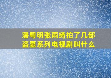 潘粤明张雨绮拍了几部盗墓系列电视剧叫什么