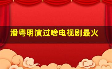 潘粤明演过啥电视剧最火