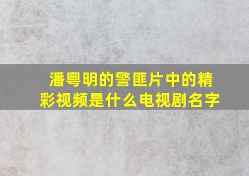 潘粤明的警匪片中的精彩视频是什么电视剧名字