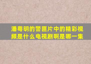 潘粤明的警匪片中的精彩视频是什么电视剧啊是哪一集