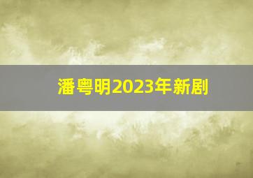 潘粤明2023年新剧