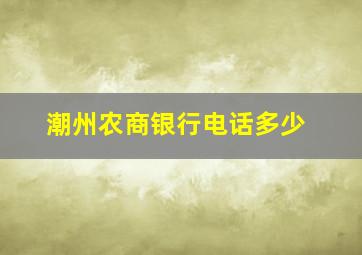 潮州农商银行电话多少