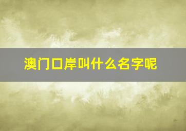 澳门口岸叫什么名字呢