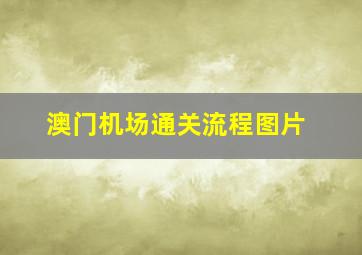 澳门机场通关流程图片