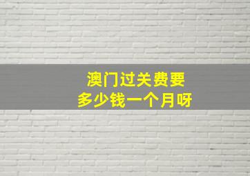 澳门过关费要多少钱一个月呀