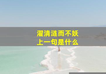 濯清涟而不妖上一句是什么