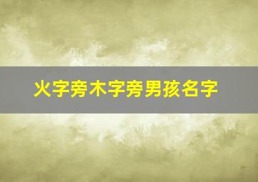 火字旁木字旁男孩名字